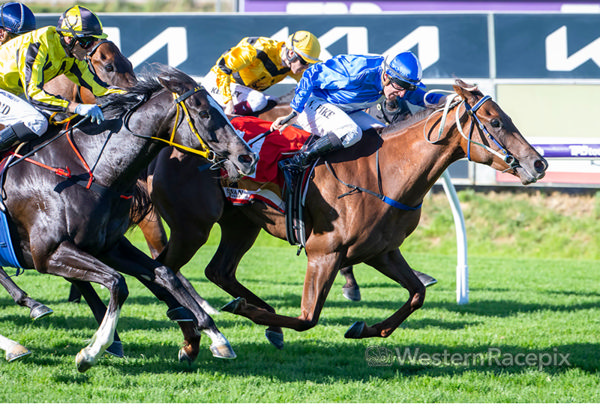 Madhi Girl wins the Listed Summer Scorcher - image Western Racepix 