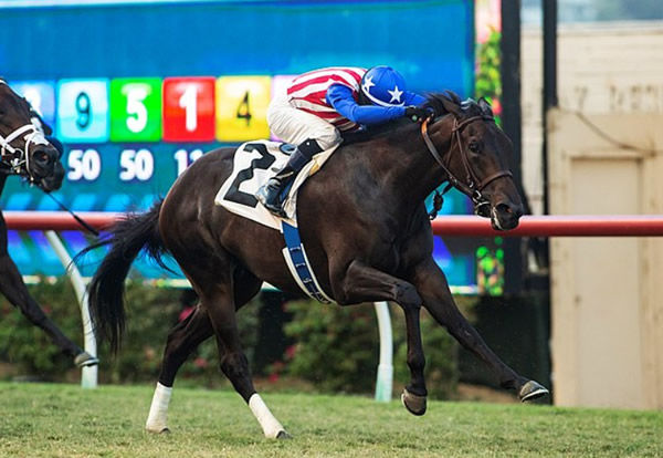 Madone wins the Del Mar Juvenile Fillies Turf Stakes - image Benoit Photo Blood Horse Twitter