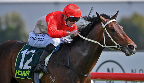Magic Carpet winning the Gr.2 Timberspan Hawke’s Bay Guineas (1400) at Te Rapa on Saturday.  Photo: Kenton Wright (Race Images)