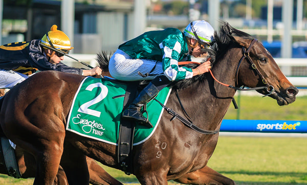 Magic Time wins the G3 Cockram Stakes - image Grant Courtney 