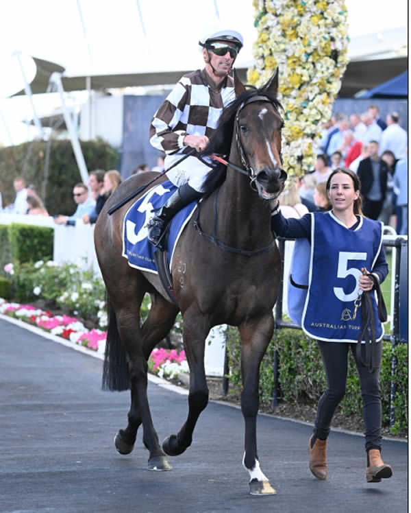 Magic Time is becoming a valuable broodmare for the future - image Steve Hart
