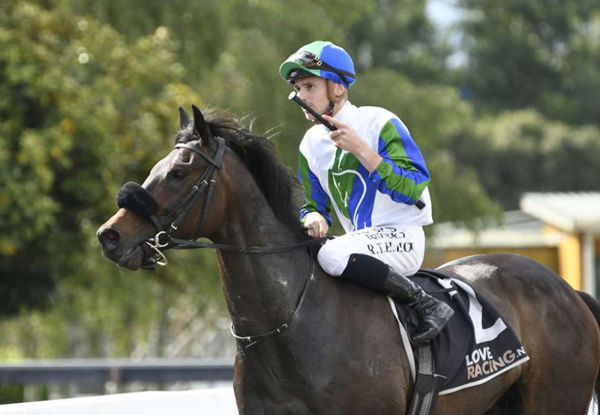 Waikato Stud galloper Magice after winning at Pukekohe on Saturday.   Photo: Kenton Wright (Race Images)