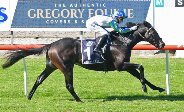 Magice powers away with the J Swap Stockfoods 1200 at Matamata on Wednesday.  Photo: Kenton Wright (Race Images)