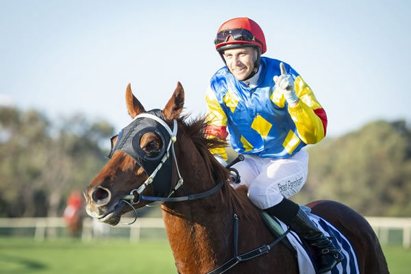 Magnificent Andy won the $1million Golden Saddle - image Western Racepix