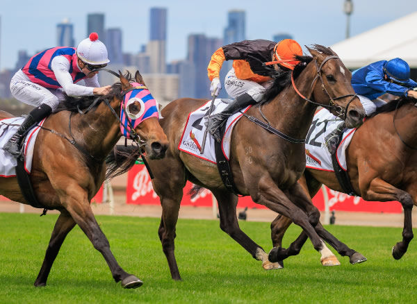 Maharba wins the G3 Rising Fast Stakes - image Grant Courtney