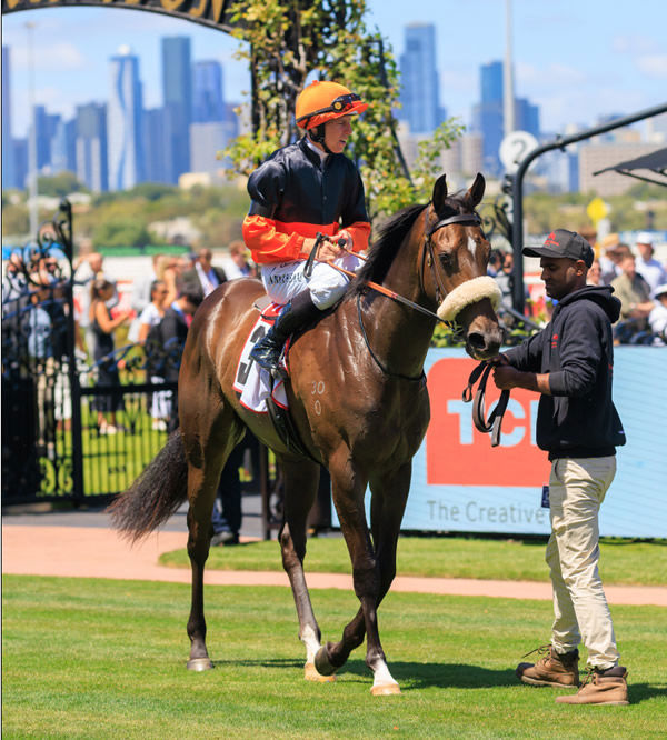 Maharba is a stakes-winner at his second start -image Grant Courtney