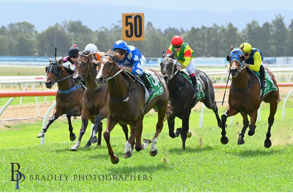 Mahogany Girl breaks the maiden at Hawkesbury - image Bradley Photography