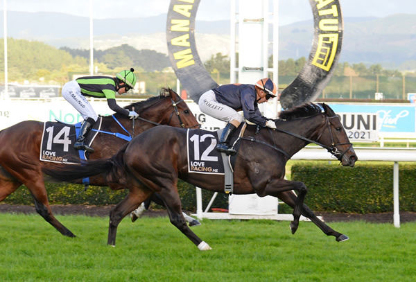 Promising mare Mai Tai adds to her burgeoning race record with victory in the Listed Manawatu ITM Anzac Mile (1600m) at Awapuni Photo Credit: Race Images – Peter Rubery