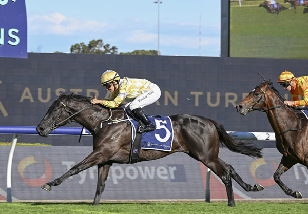 Major Beel returns to winning form at stakes level, taking out the Listed ATC Cup (2000m) at Rosehill on Saturday. Photo: Bradleyphotos.com.au