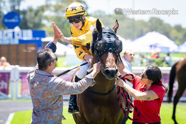 A $50,000 MM Perth yearling purchase, Major Flirt was one of the winners on Westspeed Platinum Day at Ascot  - image Western Racepix 