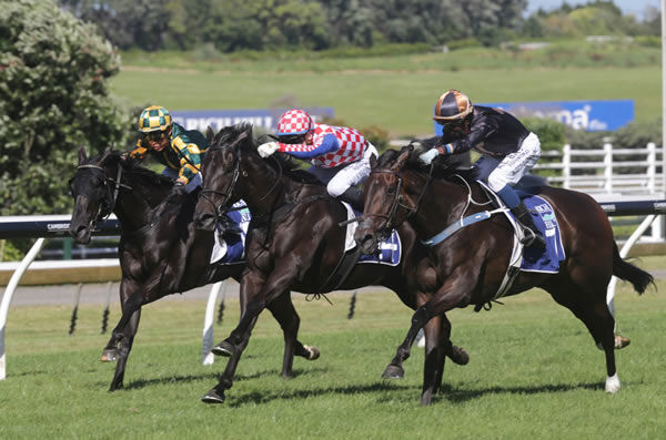 Mali Ston (middle) fights out a nail-biting finish with Mai Tai (right) to the Gr.2 Rich Hill Mile (1600m) at Ellerslie Photo Credit: Trish Dunell