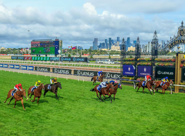 Malkovich wins at Flemington - image Grant Courtney