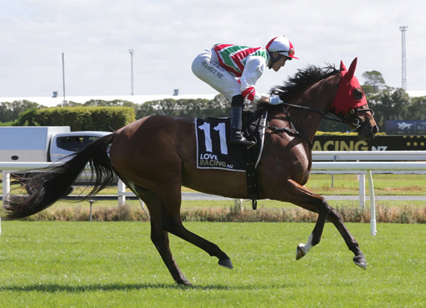 Malt Time will contest the Gr.1 TAB Classic (1600m) at Trentham on Saturday. Photo: Trish Dunell