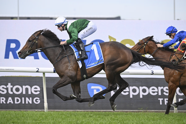 Manaal beats Gerringong to win the G2 Golden Pendant - image Bradley Photograhy 