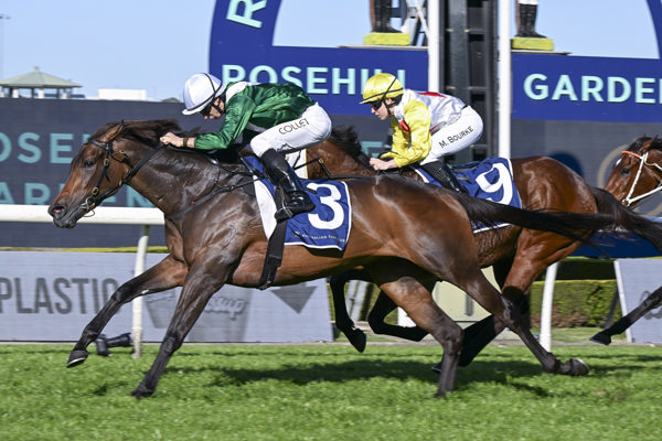 Manaal wins the G2 Sheraco Stakes - image Bradley Photography