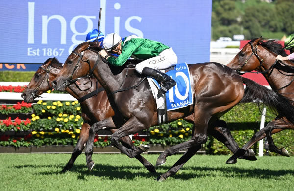 Manaal edges out Traffic Warden to win the G1 Sires - image Steve Hart