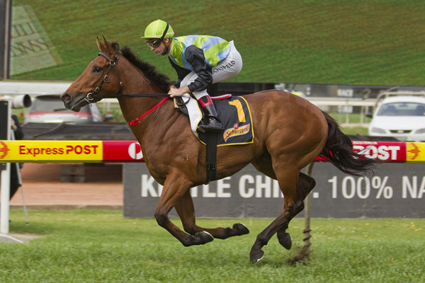G1 Golden Rose Winner Manawanui - $45,000 Goodwood Farm Inglis Classic Graduate