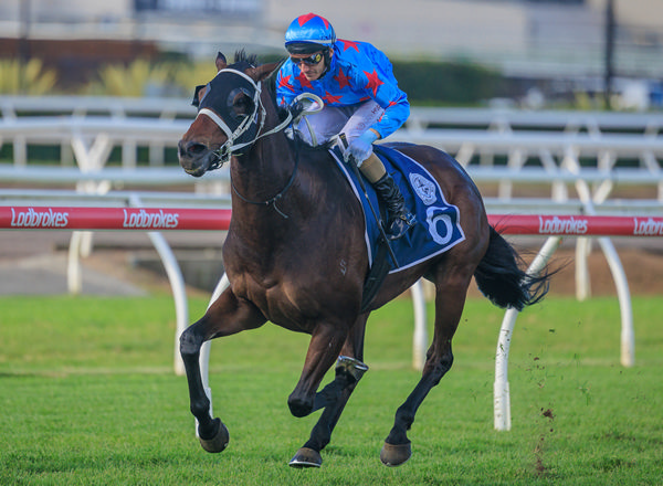 Manzoice wins the G3 Tattersalls Cup - image Grant Courtney