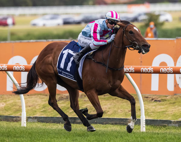 Marabi wins the Listed Christmas Stakes - image Grant Courtney