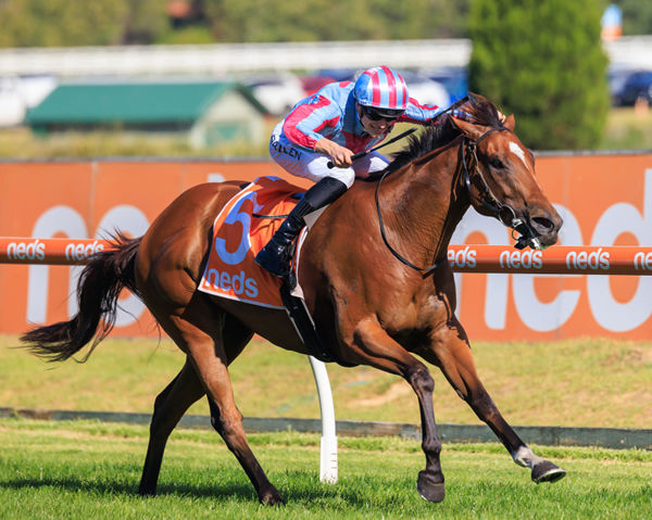 Marabi wins her first G1 in the Oakleigh Plate - image Grant Courtney 