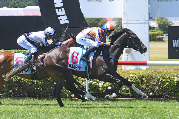 Marokopa Falls will contest the Gr.2 Happy Hire Wakefiled Challenge Stakes (1100m) at Trentham on Saturday.  Photo: Peter Rubery (Race Images Palmerston North)