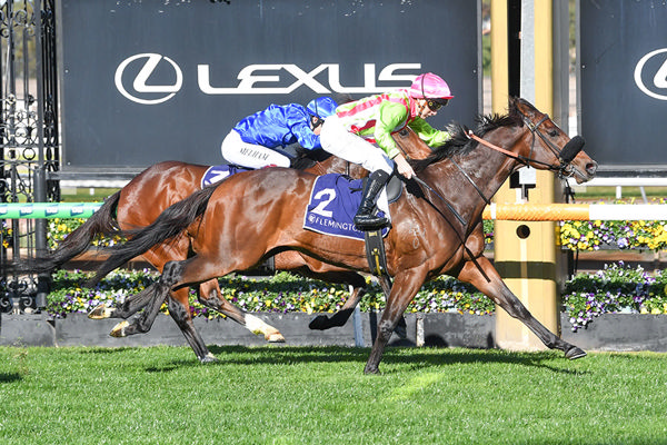 Marble Nine Wins The Listed Santa Ana Lane Sprint Series Final - Image Racing Photos