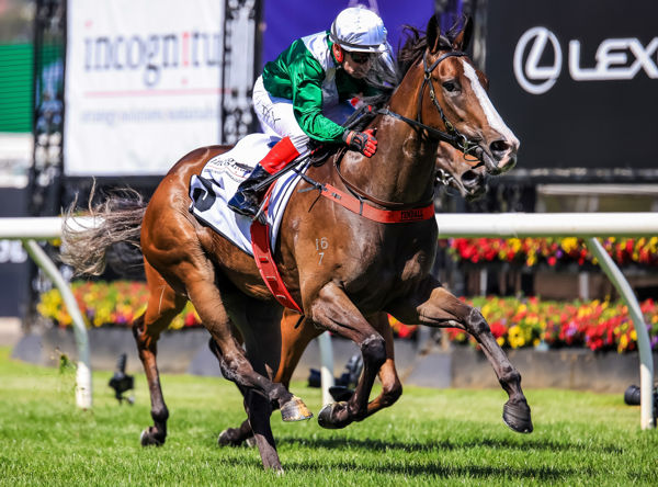Marboosha was bred and retained to race by Emirates Park.