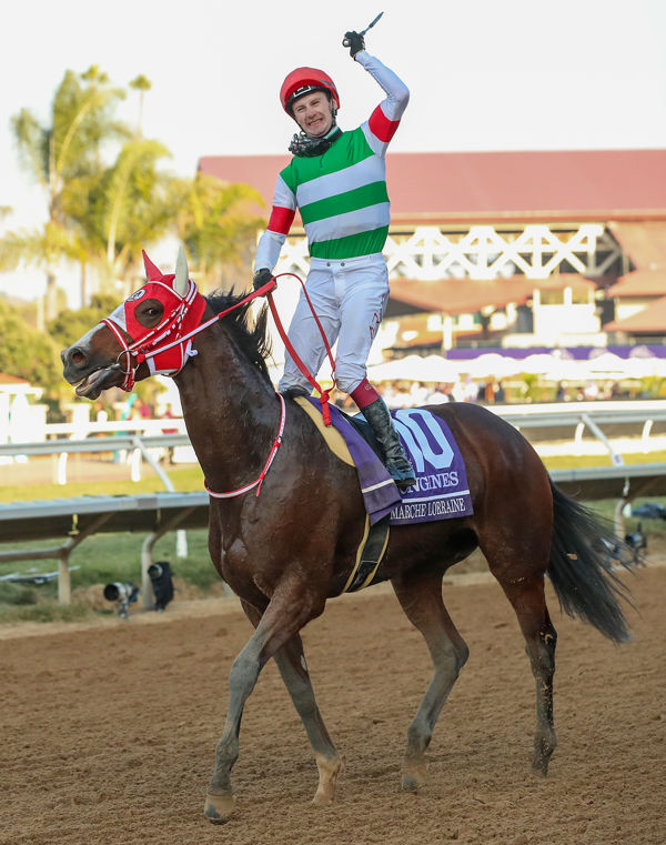 Marche Lorraine (image Casey Phillips/Breeders’ Cup/Eclipse Sportswire)