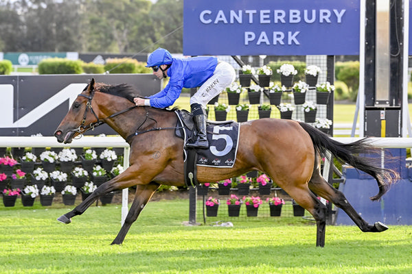 Impressive Maiden Success For Michael Freedman's Harry Angel Filly Mareth - Image Bradley Photos