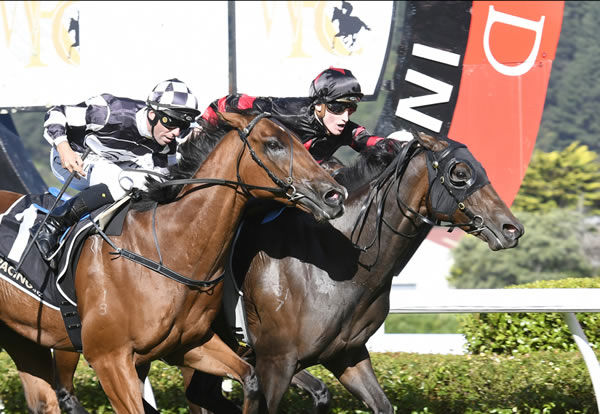  Maria Farina (inner) denies race favourite Shamus as she wins the Listed Jennian Homes Wellington Lighting Handicap (1200m) Photo: Race Images – Peter Rubery