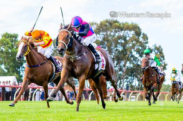 Maria Lucia wins the Magic Millions 2YO Classic - image Western Racepix