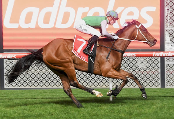 Toronado mare Mariamia topped the Inglis Digital Sale selling for $335,000.