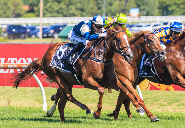 Marine One wins G2 Rubiton Stakes - image Grant Courtney