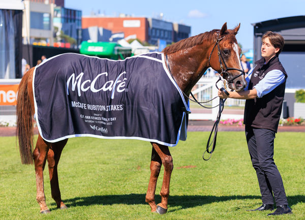 Marine One looks smart in a G2 winner's rug! - image Grant Courtney 