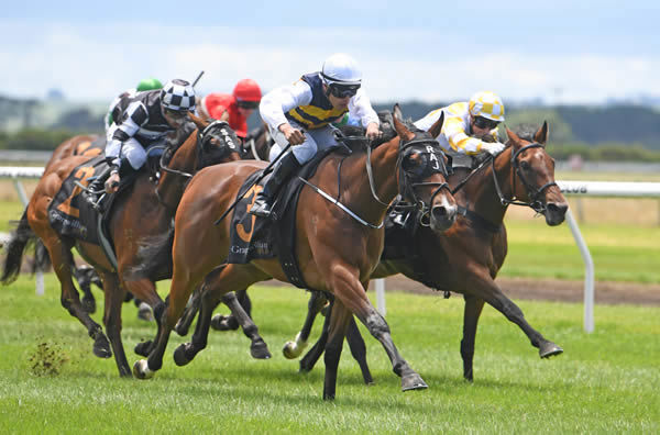  Mark Twain (outside) is being set for a tilt at the Gr.1 Australian Derby (2400m). Photo: Race Images 
