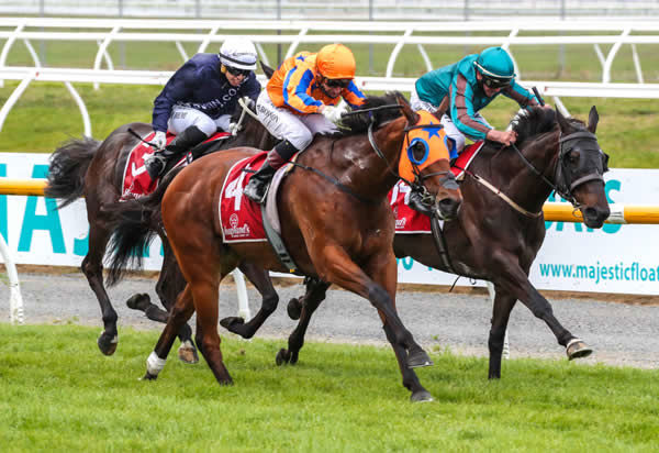 Markus Aurelius lengthens stride under Opie Bosson  Photo: Race Images CHCH