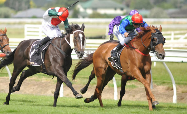 Marroni (right) holds out Zee Falls to win the Gr.3 Humphries Construction Manawatu Cup (2250m) Photo: Race Images – Grant Matthew