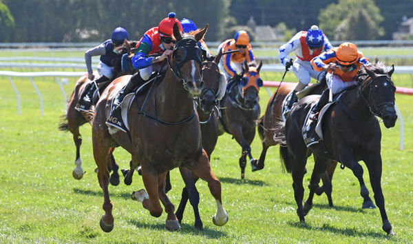 Mascarpone has his rivals covered as he heads to victory in the Gr.1 El Cheapo Cars WFA Classic (1600m) at Otaki Photo Credit: Race Images - Peter Rubery