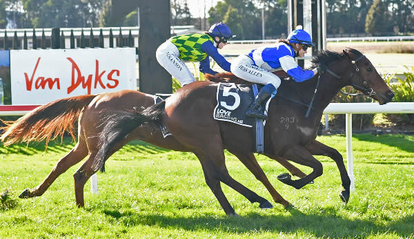 Martell winning at Arawa Park on Thursday.  Photo: Kenton Wright (Race Images)