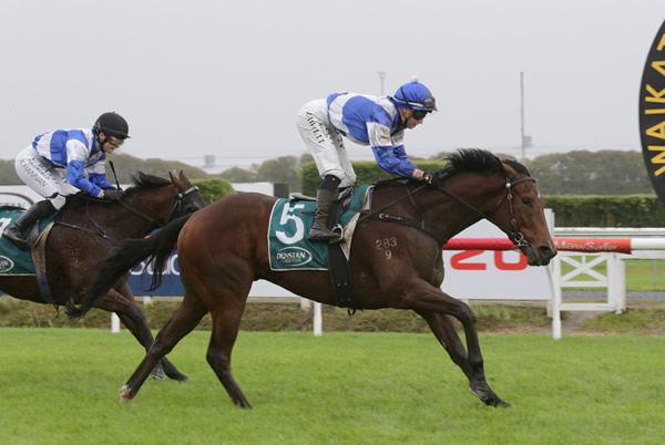 Progressive three-year-old Martell stretches out nicely to claim victory at Te Rapa Photo: Trish Dunell