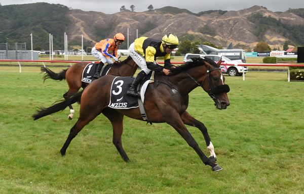 Craig Grylls completes a Group-double with Robbie Patterson aboard Mary Louise in the Gr.3 NZ Campus of Sport and Innovation Wellington Cup (3200m) Photo: Peter Rubery (Race Images Palmerston North)