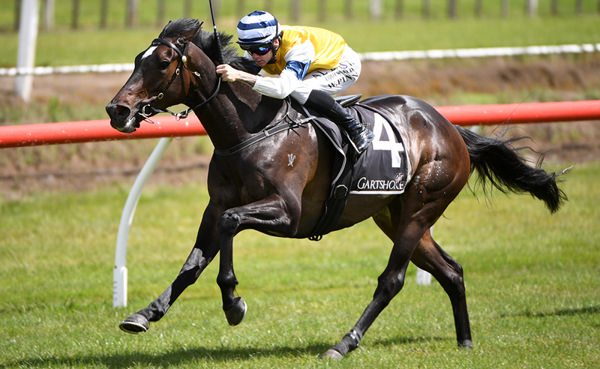 Mary Shan scored a classy victory in Saturday's Happy Hire Cup (1400m) at Tauranga. Photo: Kenton Wright (Race Images)