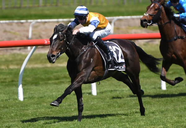 Mary Shan will contest the Gr.1 Levin Classic (1600m) at Trentham on Saturday.  Photo: Kenton Wright (Race Images)