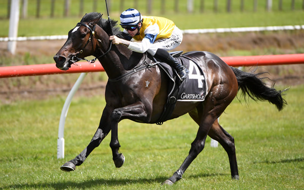 Mary Shan winning the Gr.3 Bayleys Great Northern Challenge Stakes (1600m) at Ellerslie on Saturday.  Photo: Kenton Wright (Race Images)