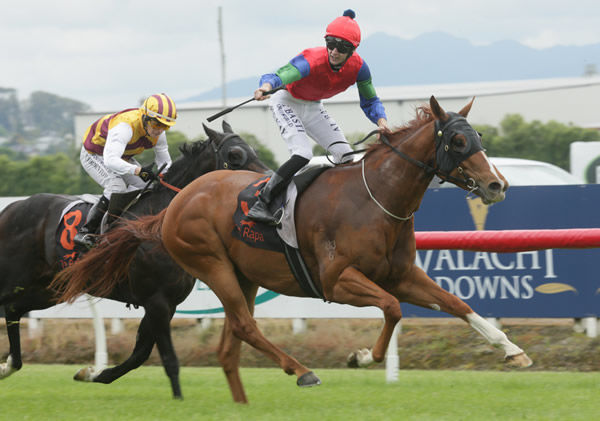Shaun McKay is elated as he guides Mascarpone to victory in the Listed Legacy Lodge Stakes (1200m) at Te Rapa. Photo Credit: Trish Dunell 