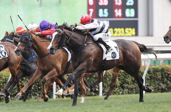 Master Montaro won at Sha Tin - image HKJC