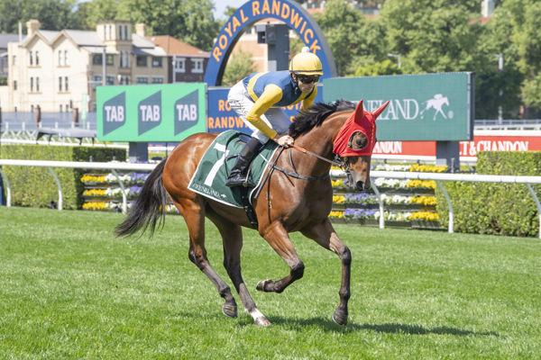 Masvingo is yet to miss a place in three starts - image Bradley Photos 