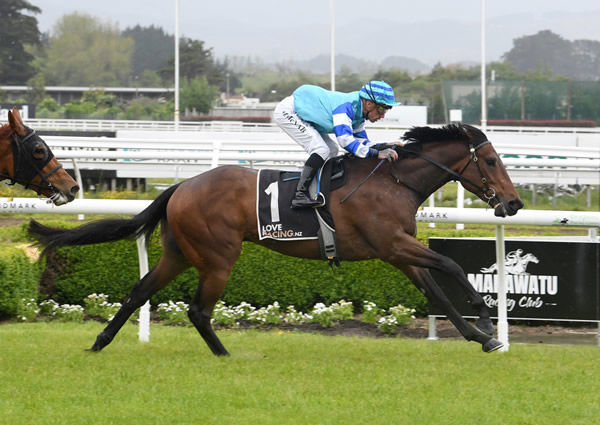 Matter Of Honour will contest the Listed Trevor & Coralie Eagle Memorial (1500m) at Te Rapa on Saturday. Photo: Grant Matthew (Race Images)