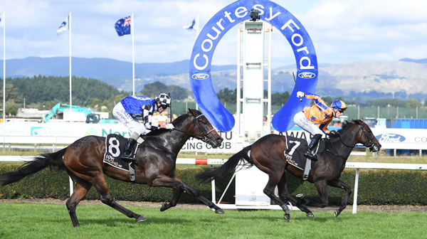 Maven Belle hits the line first in the Gr.1 Courtesy Ford Manawatu Sires’ Produce Stakes (1400m) Photo Credit: Race Images – Peter Rubery