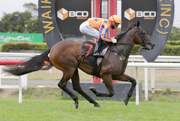 Maven Belle takes out the Gr.3 Platinum Homes 2YO Classic (1200m) at Te Rapa Photo Credit: Trish Dunell